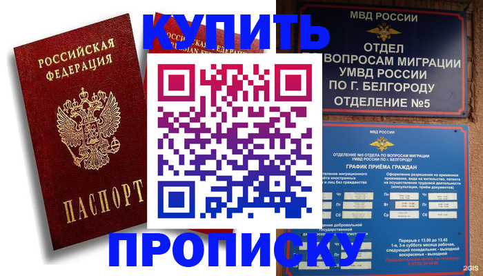 прописка иностранных граждан в Белово